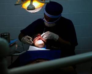Crean alianza estratégica para almacenar células madre de pulpa dental