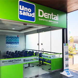 Puente Alto Elisa Correa