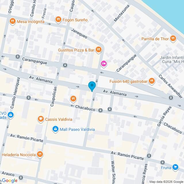 Mapa Clínica Valdivia