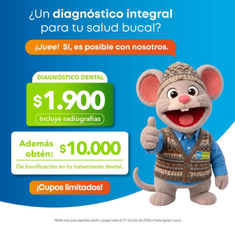 GEO Zona Pto Montt
