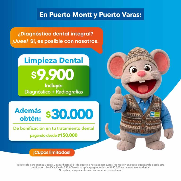 GEO Zona Pto Montt