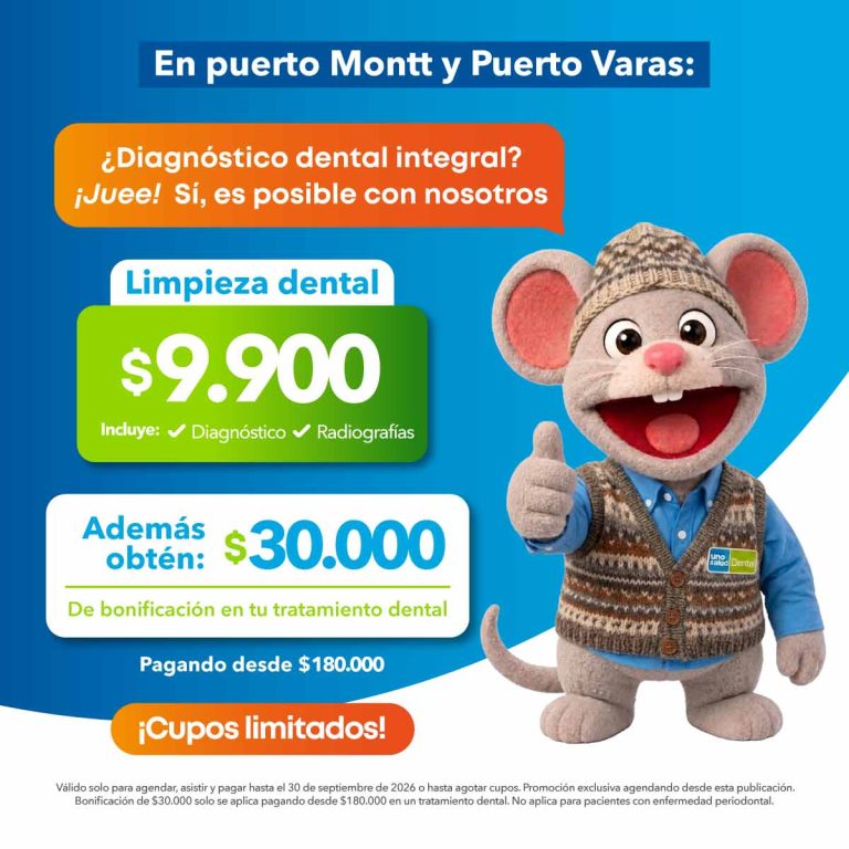 GEO Zona Pto Montt