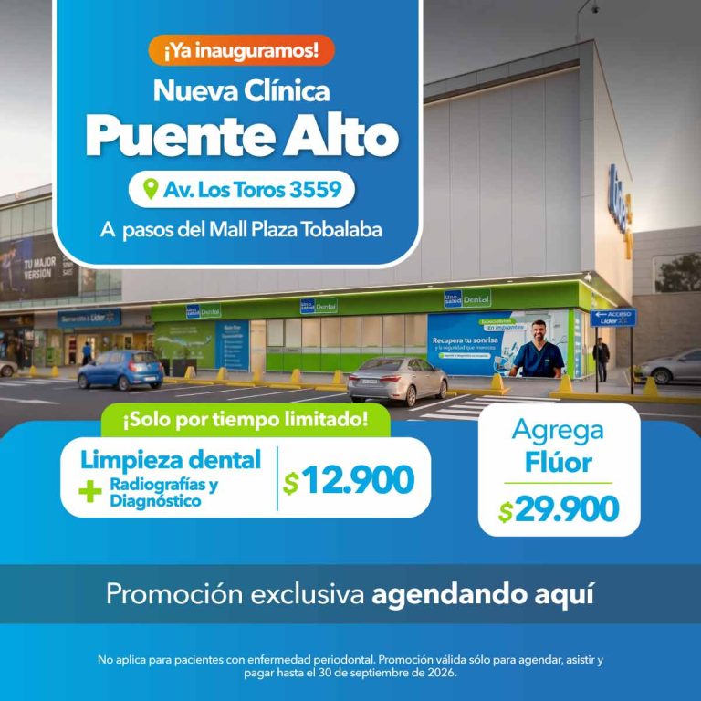 Apertura Puente Alto Los Toros